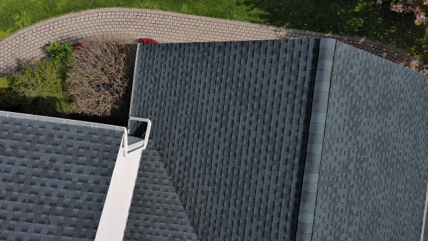 Best Roof Maintenance and Cleaning  in Lake City, AR