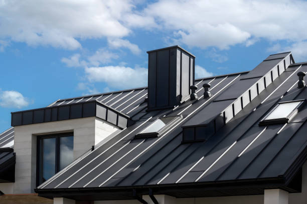 Best Solar Panel Roofing Installation  in Lake City, AR